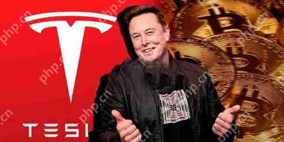 特斯拉公布第1季度财报:营收不达标导读!但仍然没有卖出比特币